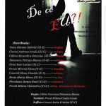 Festivalul de teatru “PICĂTURI DE SUFLET”-Ediția I