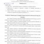 Decizia nr.13
